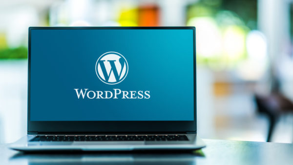 1 day WordPress Course at Business Brains